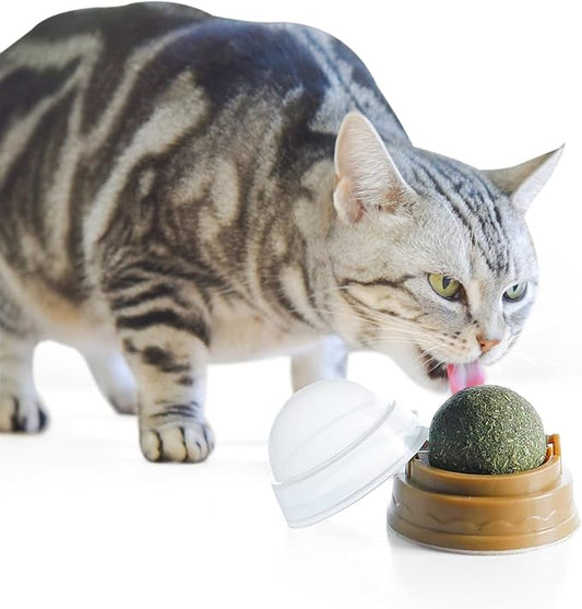 Natural Catnip Ball
